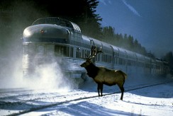 Rockies Train