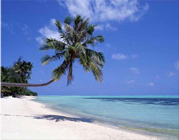 Sun holiday