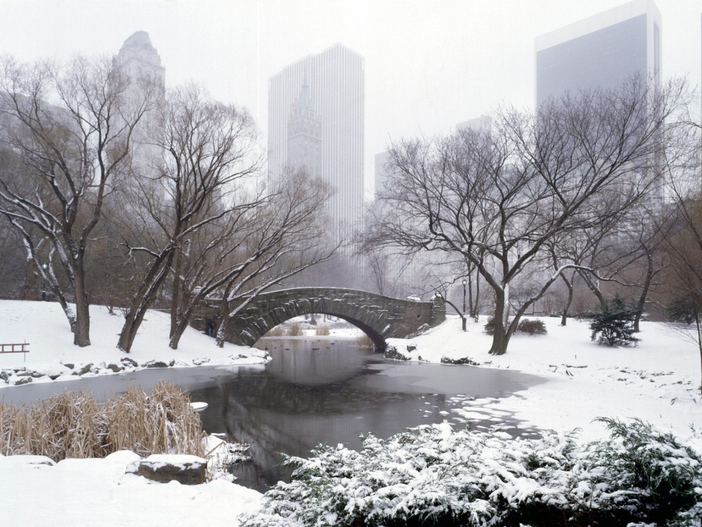 Central Park